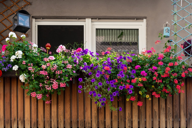 BigMat-Guerrero-como-cultivar-un-jardin-mediterraneo